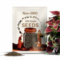 Coleus (seeds) Florida Sunshine, Vibrant Ornamental Plant, Rare Seeds for Planting, Great for Outdoors and Indoors, Gift for Gardener