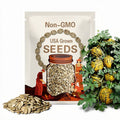 Turkish, Kırkağaç Melon Seeds – Natural, Sweet, and Healthy Summer Delight, Non-Gmo, Heirloom,