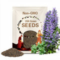 5000 Nicotiana Rustica Seeds Sacred Aztec Tobacco