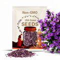 25 Purple White Weeping Begonia Seeds: Shade Garden Blooms