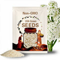 White Lace Flower Seeds, Lacy Didiscus, Organic Trachymene Coerulea TR4350