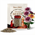 Rare Dahlia Seeds: Easy-Grow Perennial Flowers - 20 Fresh Seeds